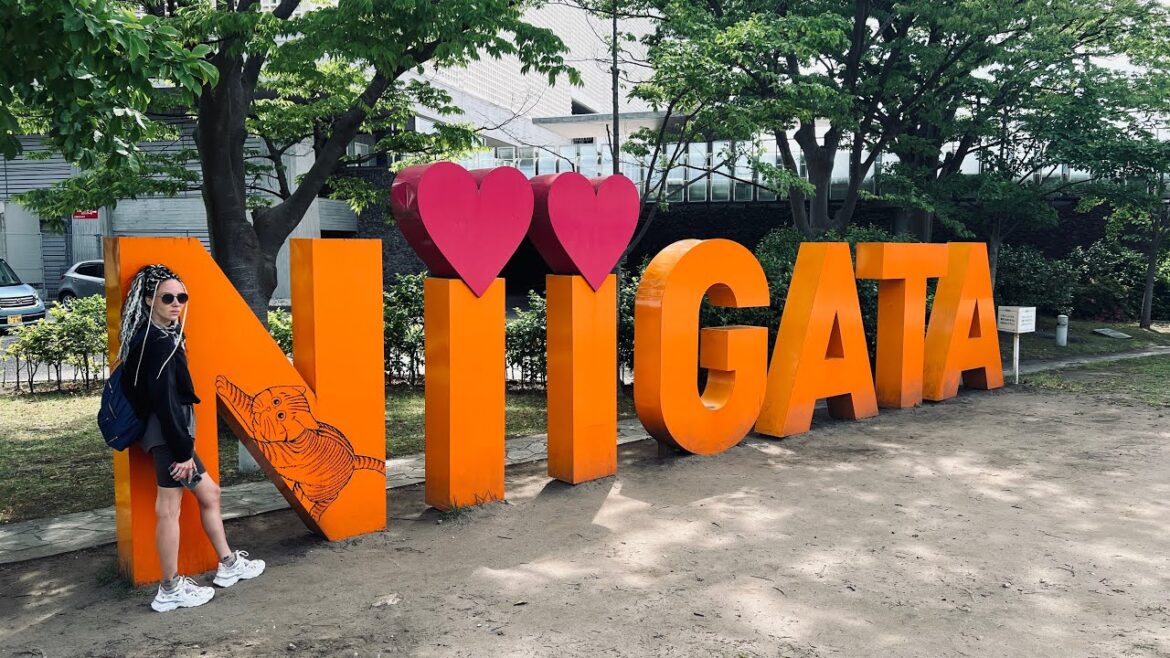 Ниигата. Цены в магазинах. Путешествие по Японии. Жизнь в Японии.