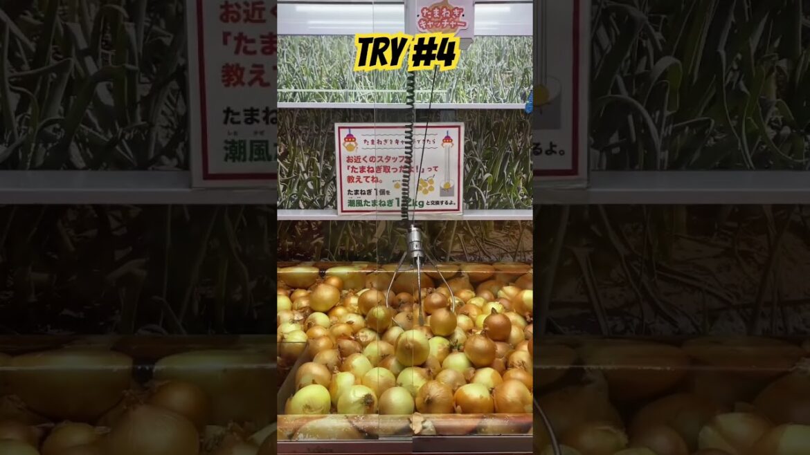 THE STRANGEST GAME in JAPAN #shorts #games #funny #travel