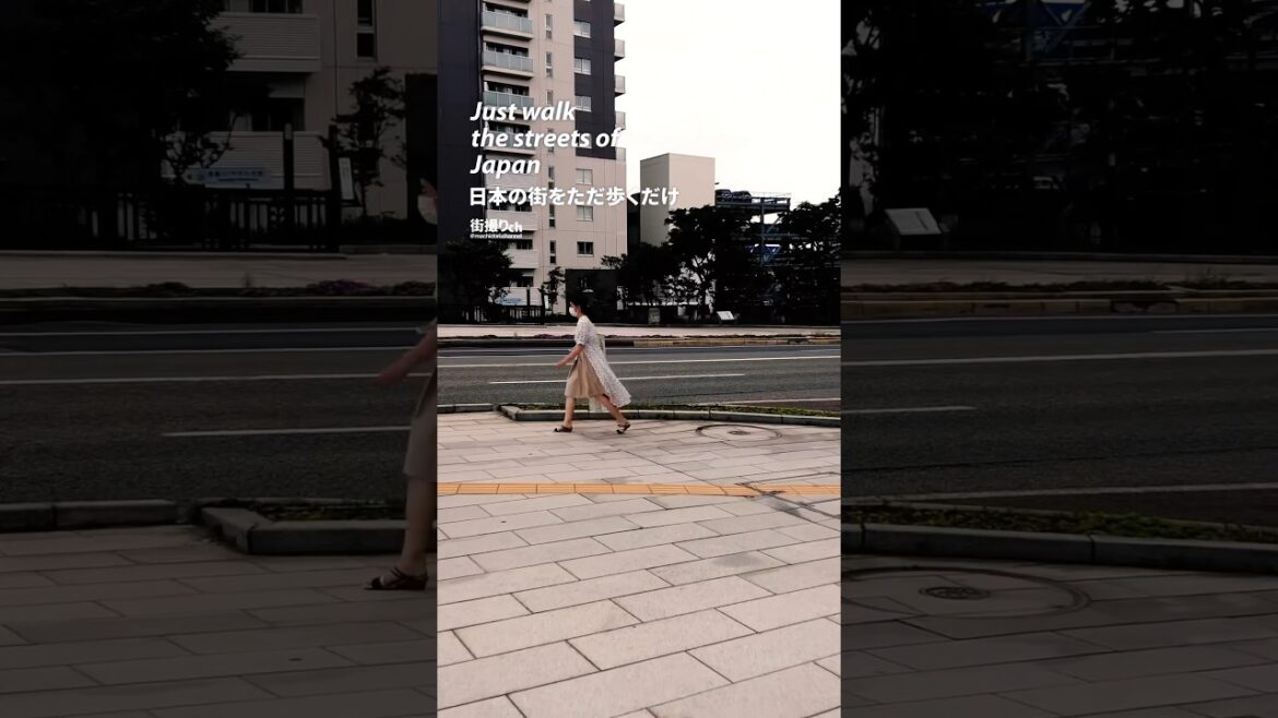 Niigata: Niigata Station (新潟駅) - Japan Walking Tour #shorts #shortsvideo