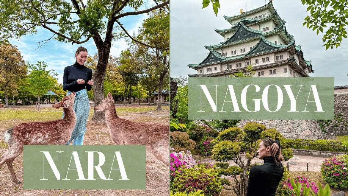 NAGOYA & NARA Japan – Nagoya Castle, Hommaru palace, Nara deer park, Todaiji Temple, road trip NAGOYA & NARA Japan - Nagoya Castle, Hommaru palace, Nara deer park, Todaiji Temple, road trip