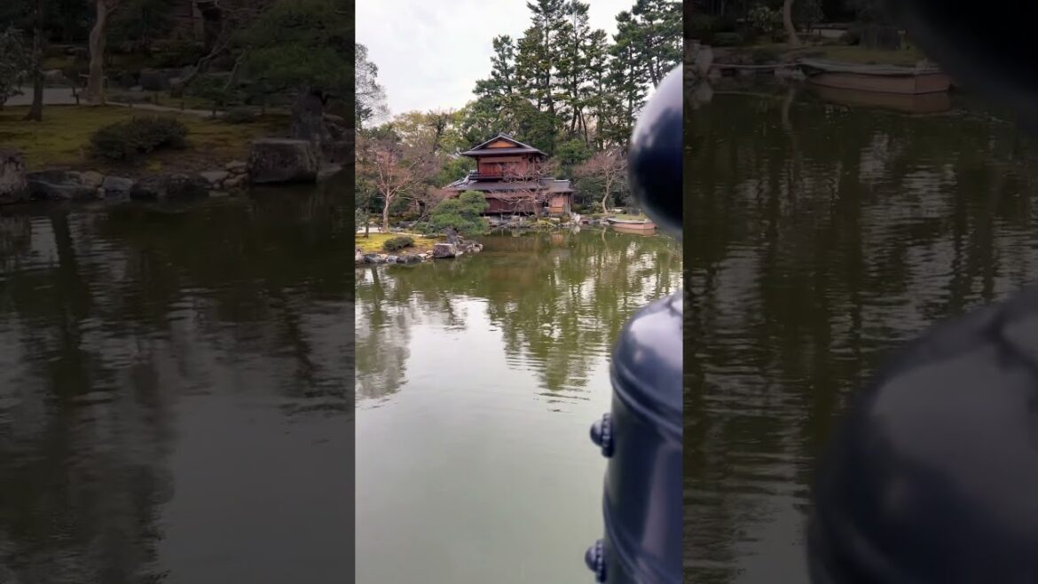 Old House in a GARDEN in Kyoto,Japan. #travel #kyoto #trending #shorts #explore #outdoors #garden