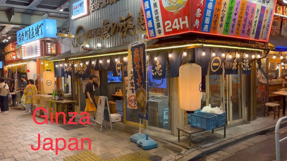 Tokyo, Japan in Ginza area fun Izakya Food Stalls & BARS #streetfood #japanesefood #tokyo #japan