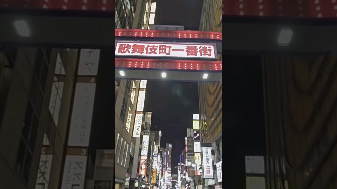 Japan Tokyo Travel Shinjuku Kabukijo 일본 도쿄여행 신주쿠 가부키조 #shorts #shinjuku #kabukicho #tokyo #japan