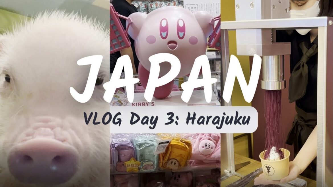 Japan Vacation VLOG: Day 3 – Harajuku | Pig Cafe | Meiji Shrine | Vegan Okonomiyaki | Kiddyland Japan Vacation VLOG: Day 3 - Harajuku | Pig Cafe | Meiji Shrine | Vegan Okonomiyaki | Kiddyland