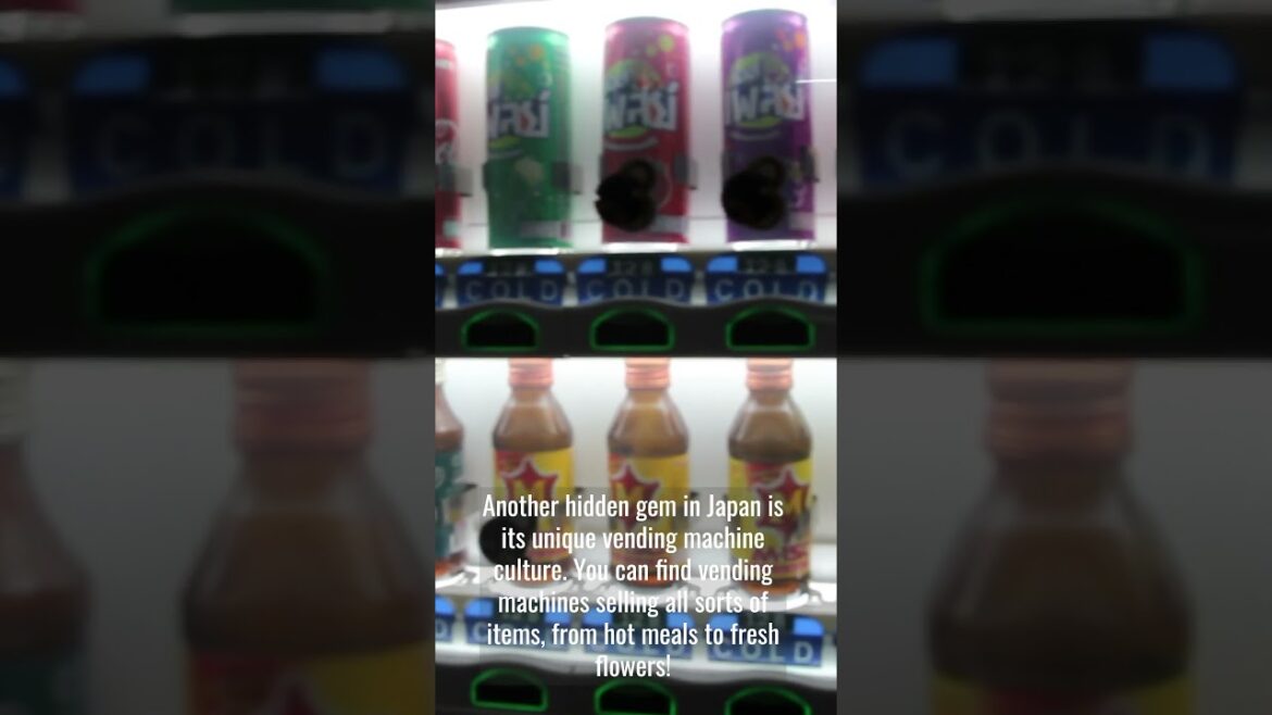 The Secret Fact About Japan You Didn't Know Existed! #shorts #interestingfacts #culture #facts 😌