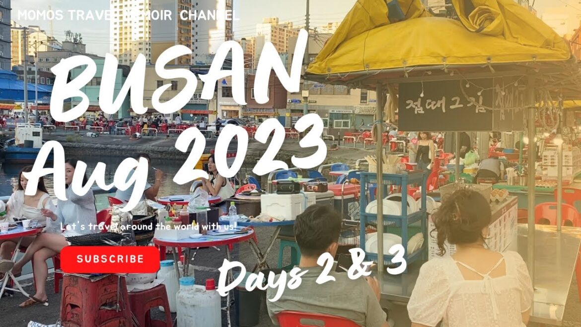 【KOREA Trip 🇰🇷 韓国旅行】釜山の今一番人気スポット海雲台ブルーラインパークに行ってきました!|デジクッパ|コプチャン|スンドゥブチゲ|ナクチポックム|影島屋台街 【KOREA Trip 🇰🇷 韓国旅行】釜山の今一番人気スポット海雲台ブルーラインパークに行ってきました!|デジクッパ|コプチャン|スンドゥブチゲ|ナクチポックム|影島屋台街