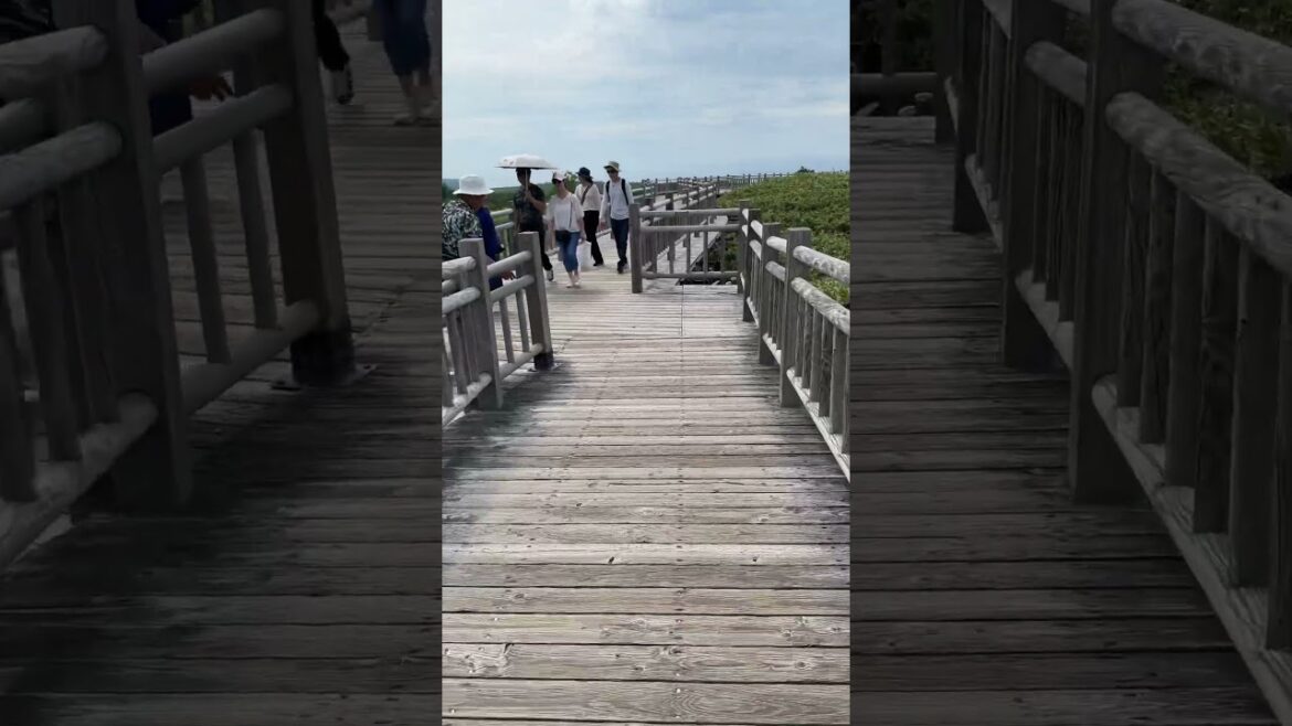 Shiretoko Goko Lake Walk #知床五湖 #shiretoko #japanwalk #walkingtour #hokkaido