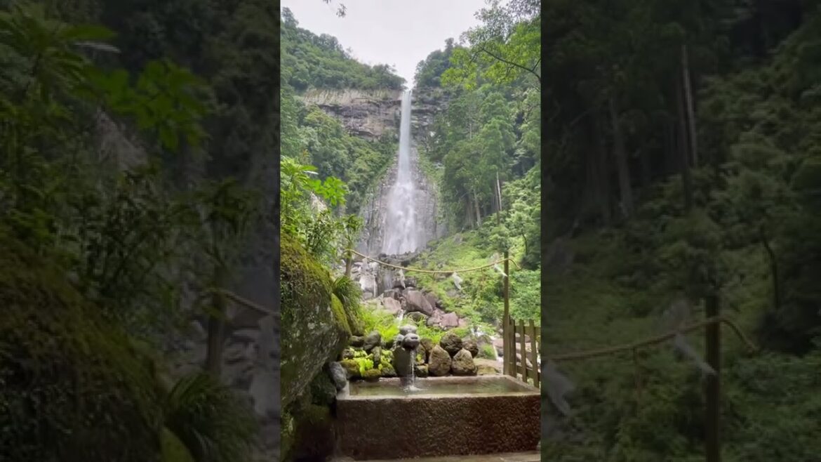 龍と繋がりたいならすぐ見てください！那智の滝と熊野古道！パワースポット