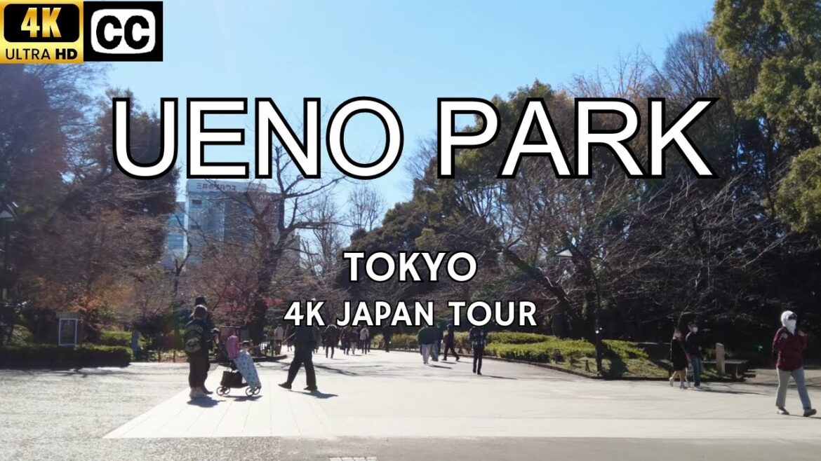 [4K] Japan Walk Tour | Ueno Park | Akihabara