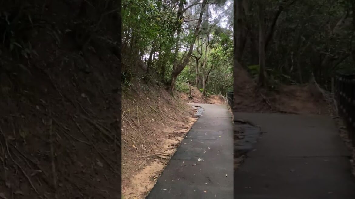 Park Of San Francisco In Okinawa Japan