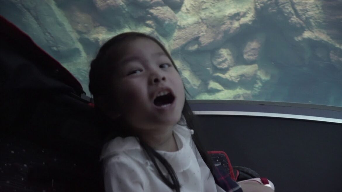 Osaka Aquarium Kaiyukan