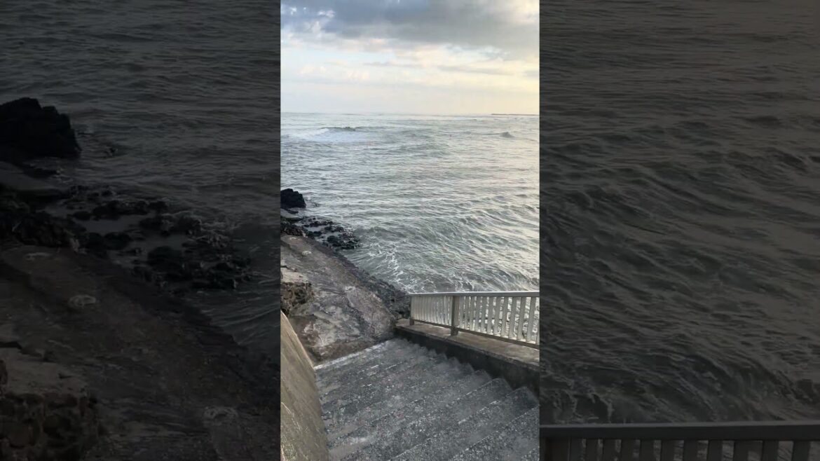 Morning at Niigata🌸🌸🌸