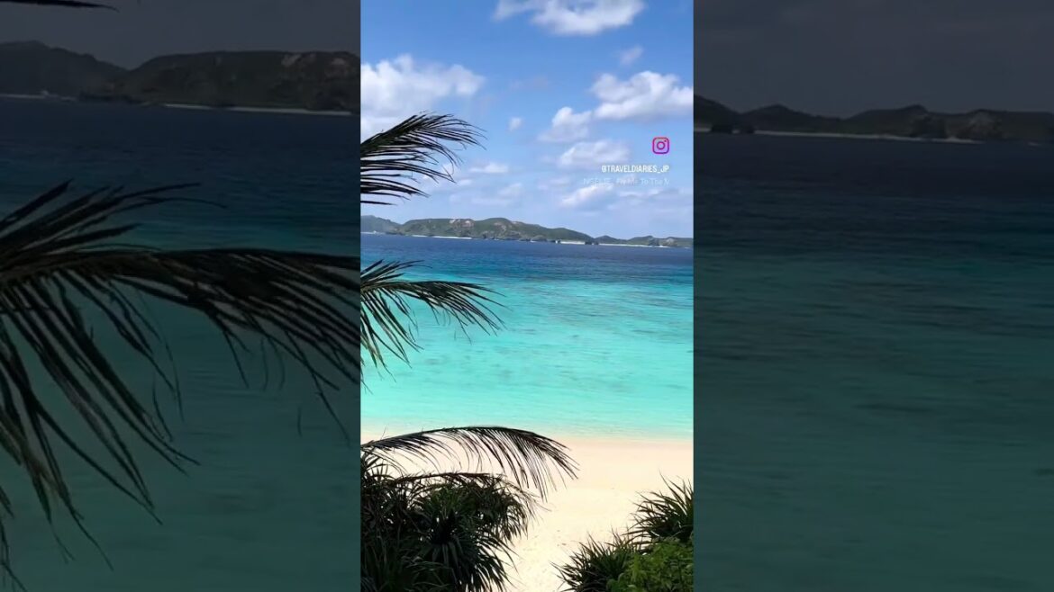Tokashiki Island, Okinawa, Japan 🏝️ #islandlife #summer l #summershorts