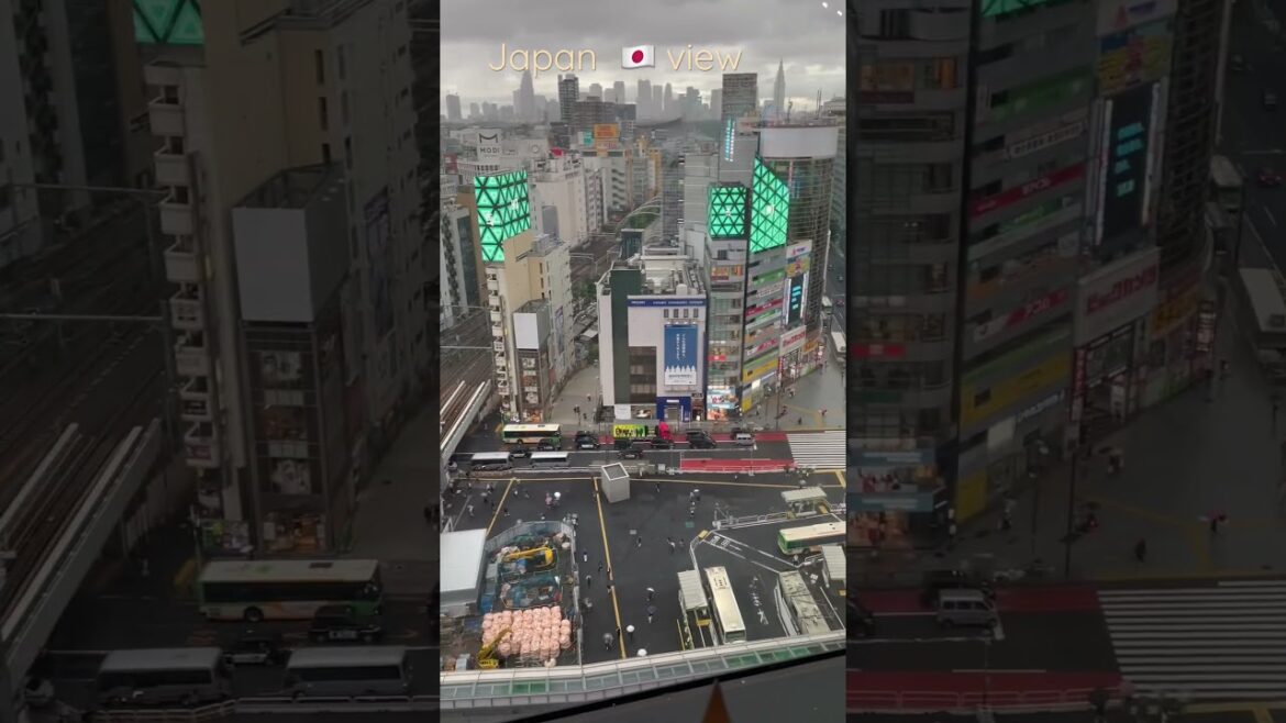 Japan 🇯🇵 view || Beautiful Japan view || #shorts #youtubeshorts #travel