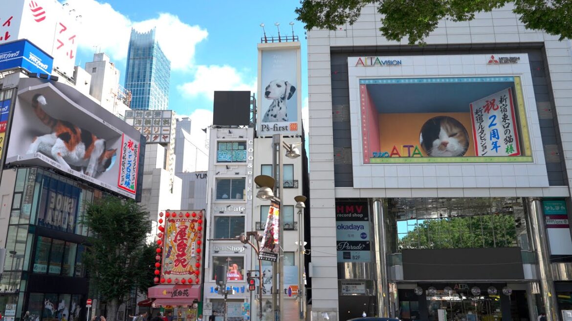 4K HDR: 3D Cat in Shinjuku - Billboard Tokyo 新宿東口の3D巨大猫