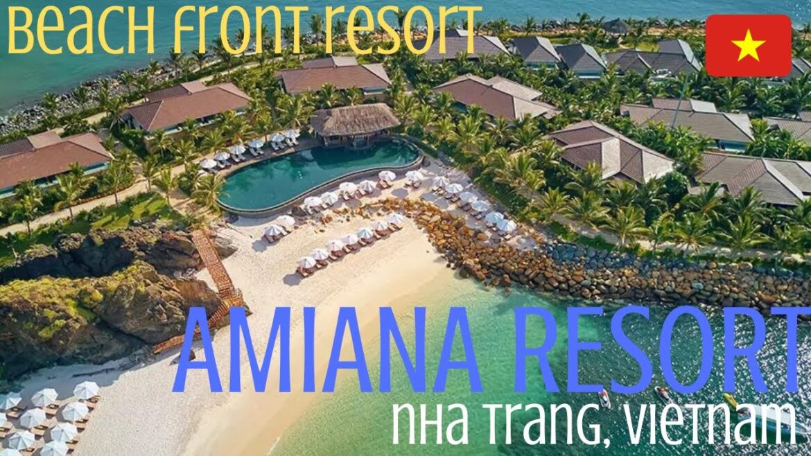 AMIANA – Nha Trang 2022 AMIANA - Nha Trang 2022
