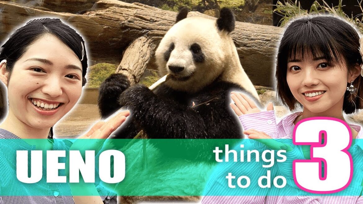 3 things to do in Ueno Tokyo! My picks!【Ueno Park,Ameyoko,Ueno Zoo,Panda】 3 things to do in Ueno Tokyo! My picks!【Ueno Park,Ameyoko,Ueno Zoo,Panda】