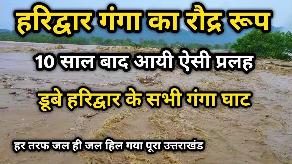 हरिद्वार गंगा का रौद्र रूप | 10 साल बाद आयी ऐसी प्रलह | haridwar ganga flood | NEERAJ NO1