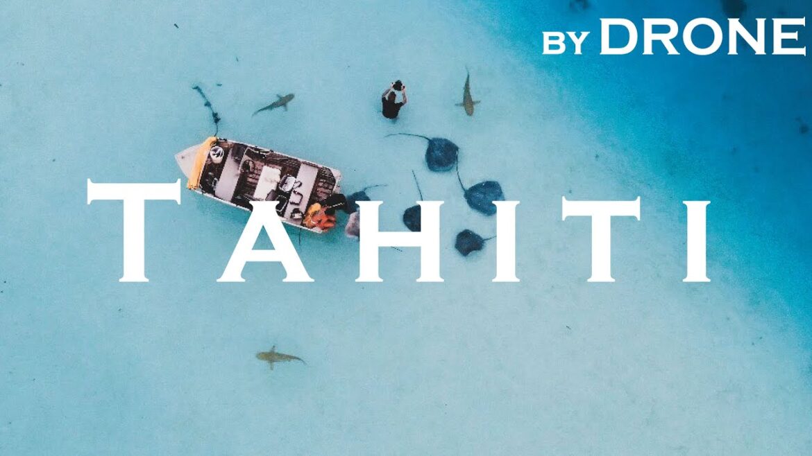 🌐72カ国目タヒチ🇵🇫→🐋🐬🦈←モーレアをドローン空撮したら別世界だった 🌐72カ国目タヒチ🇵🇫→🐋🐬🦈←モーレアをドローン空撮したら別世界だった