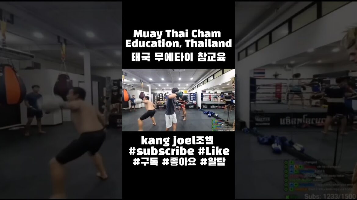 Muay Thai Cham Education, Thailand-태국 무에타이 참교육 #shorts