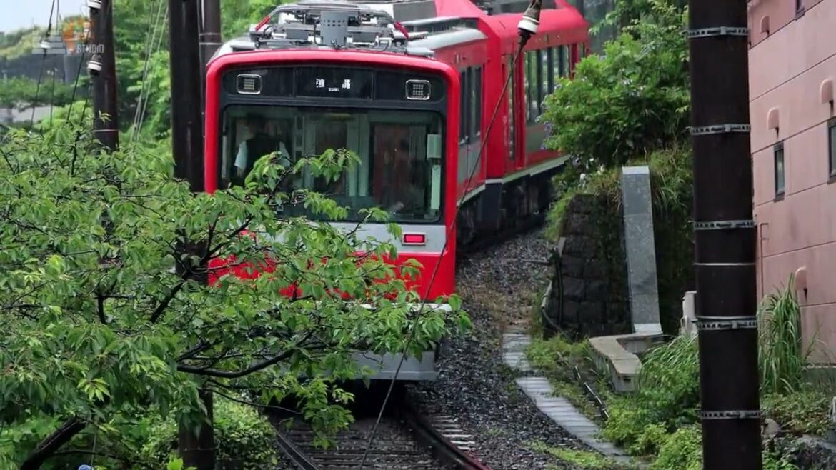 雨の日の神奈川の電車（箱根登山＆江ノ電） Rainy day in Kanagawa｜Hakone Tozan & Enoden line (プチ動画 short)