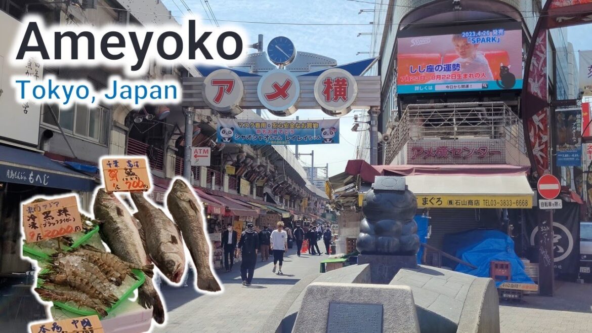 Explore the Ameyoko Shopping District in Tokyo