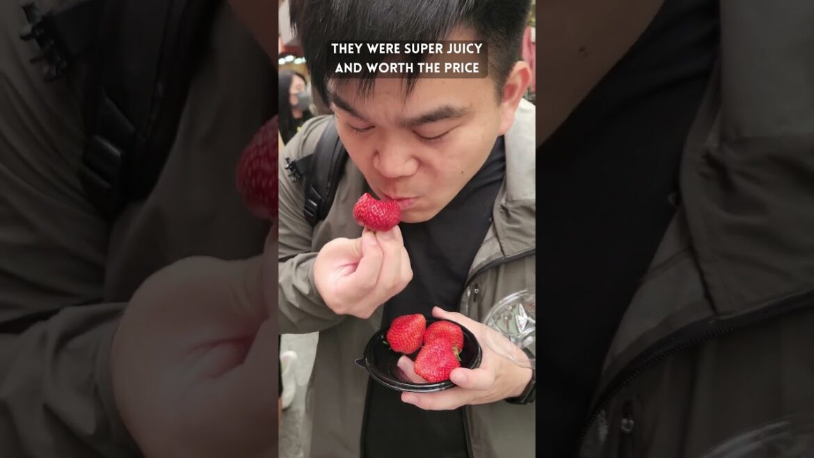 Everything we ate at Kuromon Market! | Osaka | Japan