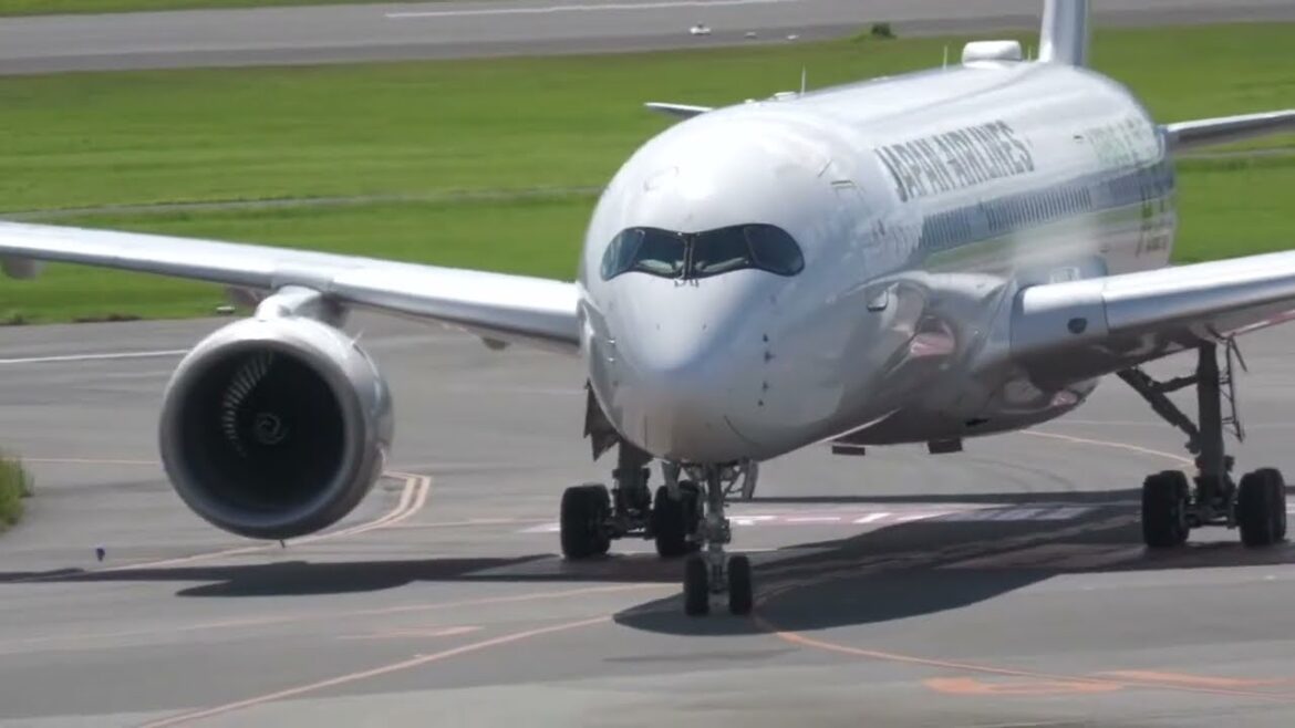 Osaka Itami Airport Last time in Japan? 伊丹空港 鯛も一人はうまからず