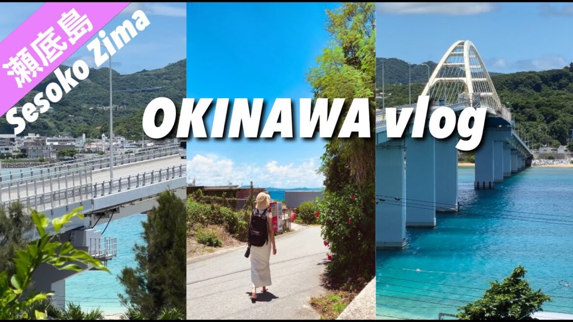 瀬底島VLOG ☀️旦那さんと一緒にドライブやカフェ🏝️沖縄北部でゆっくり過ごす日　#23