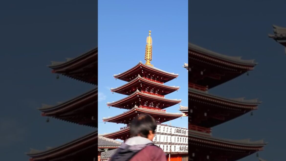 Watch “8 UNDERRATED SPOTS TO VISIT IN TOKYO JAPAN” in our channel Watch "8 UNDERRATED SPOTS TO VISIT IN TOKYO JAPAN" in our channel