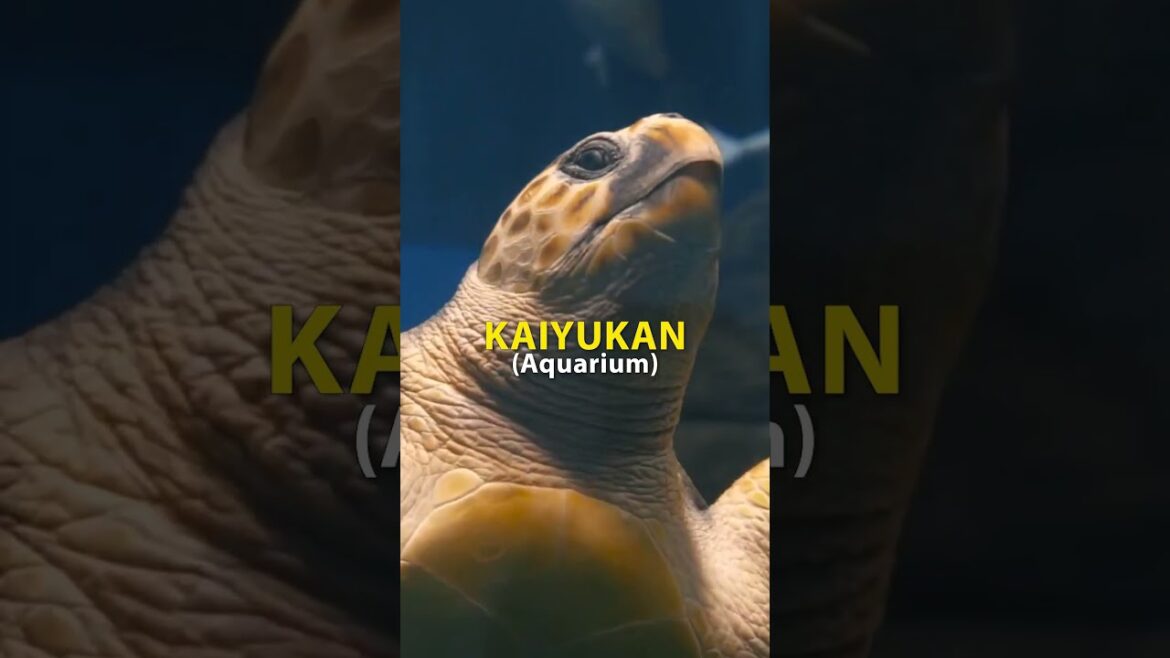 Guide de voyage pour Osaka