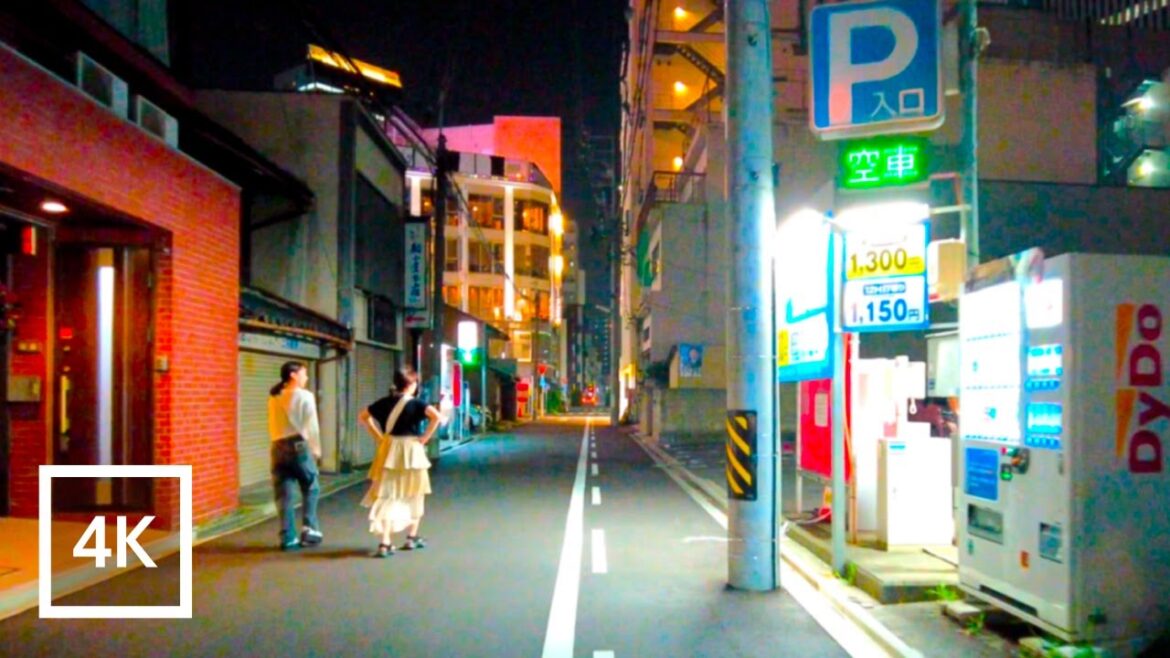 Japan 4K Walking Tour – Nagoya Nightscape by Bicycle! From Suburbs to City Japan 4K Walking Tour - Nagoya Nightscape by Bicycle! From Suburbs to City