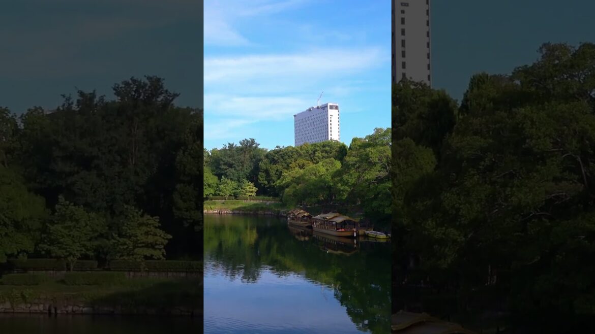 [shorts] Summer morning walk at Osaka Castle - Osaka - 2 #shorts #walking #japantravel