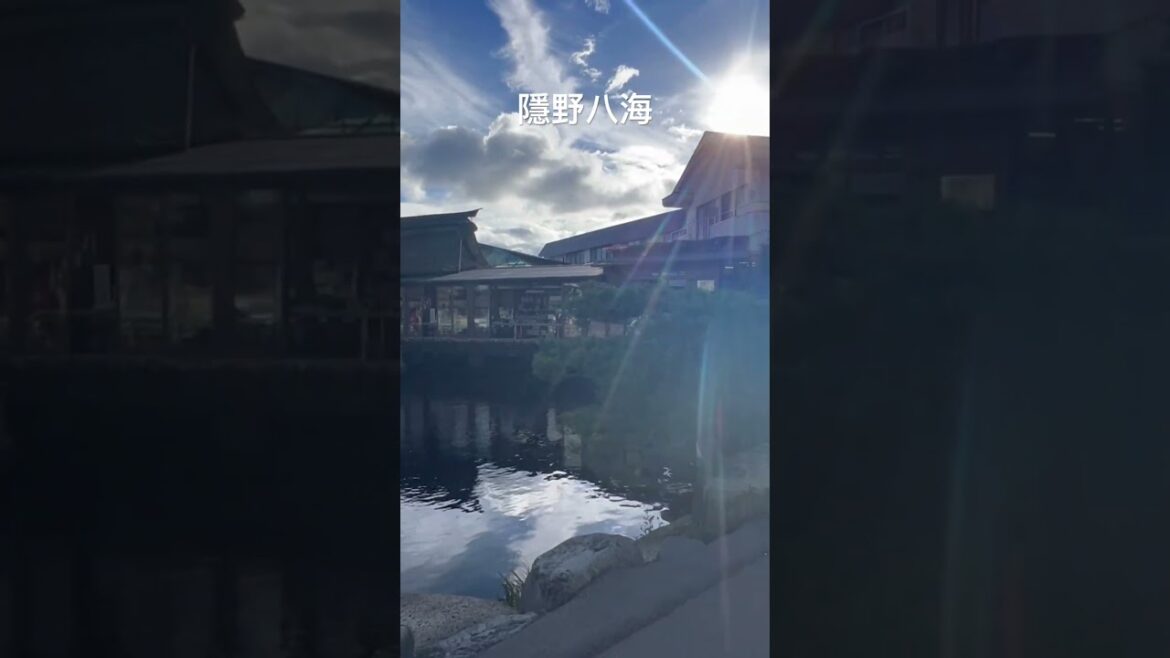 隱野八海 🌻