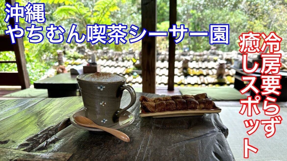 【シーサー園】沖縄北部本部町にあるシーサー園に行ってきました。 【シーサー園】沖縄北部本部町にあるシーサー園に行ってきました。