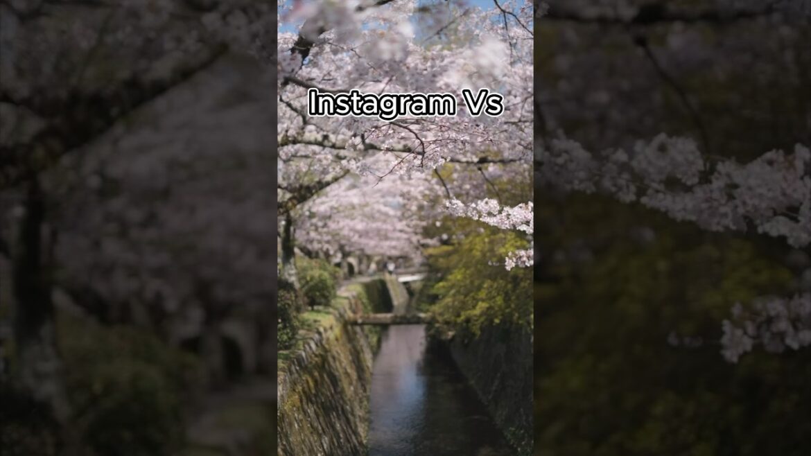 Solo Travel Vlog- Instagram VS Reality: Japan Kyoto Philosopher's Path | 日本 京都 #shorts #solotravel
