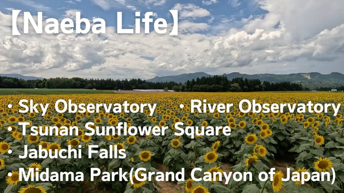 【Naeba Life】 Tsunan scenic walk 【Naeba Life】 Tsunan scenic walk