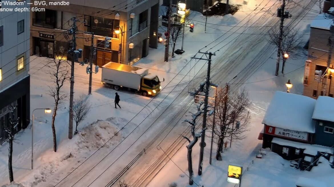 Heavy snowfall in Sapporo, lofi radio 10 hours | February 1, 2023