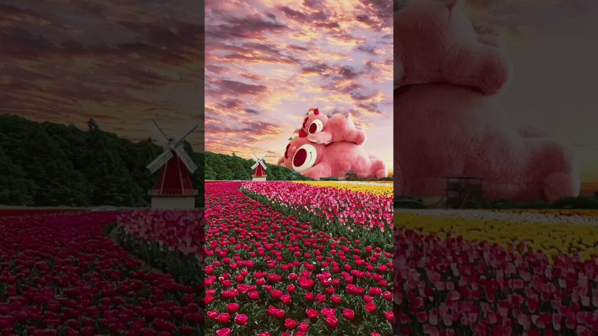 💕Amazing place of world  #shorts #shortsfeed #explore #nature 💕Amazing place of world  #shorts #shortsfeed #explore #nature