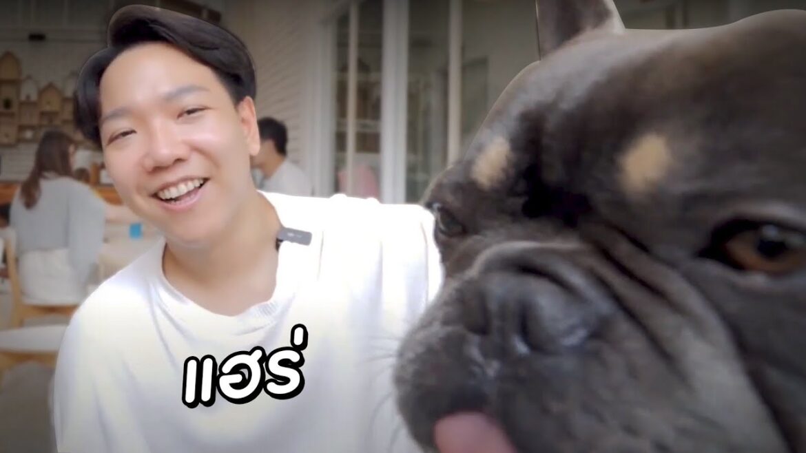 เคยเกือบเป็นหมาเพราะเรื่องนี้?