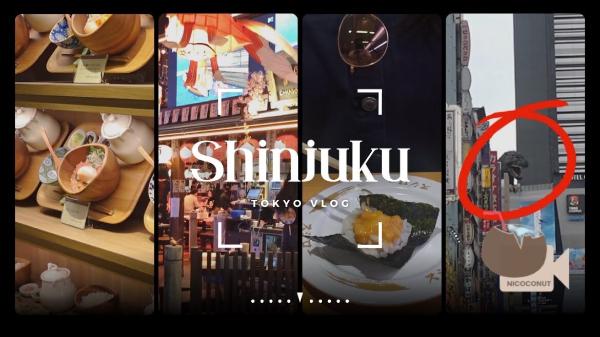 Roaming in Shinjuku - (Tokyo Vlog)