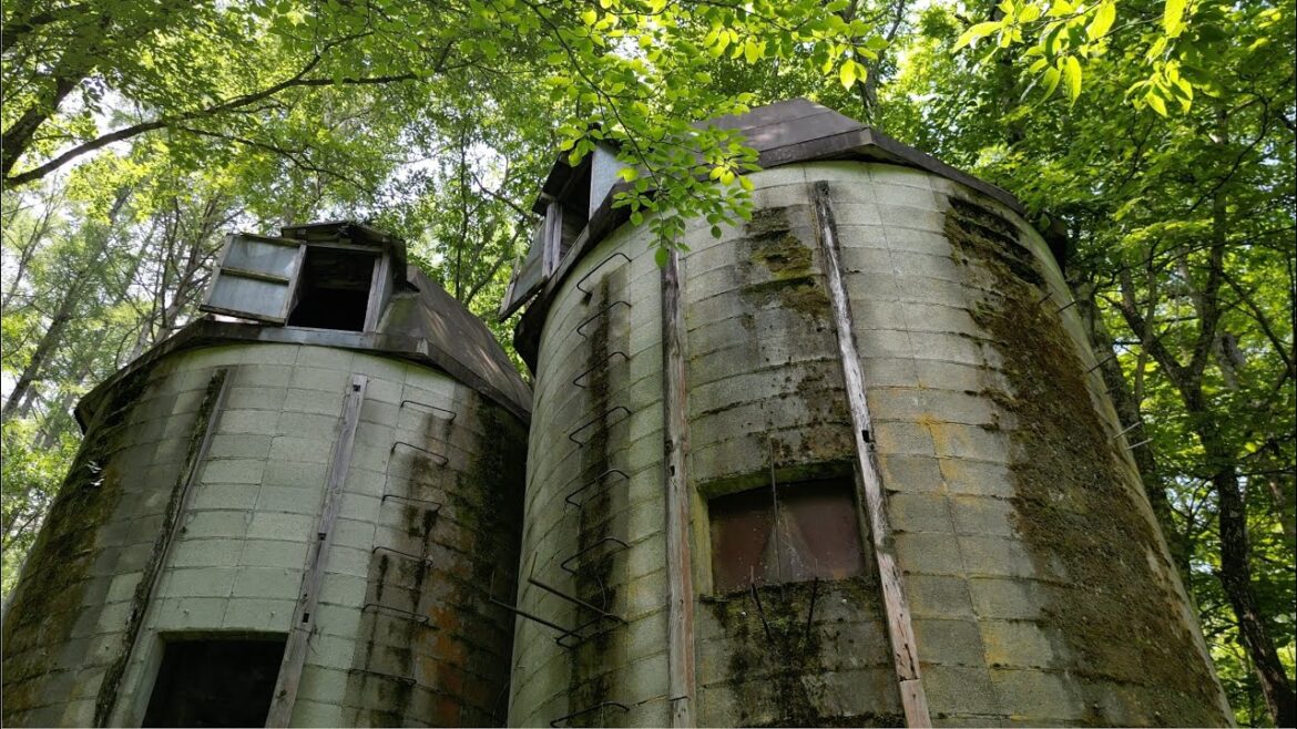 ALAS of Japan - Summer Nagano Vacation［夏の長野県上伊那郡 4K空撮］