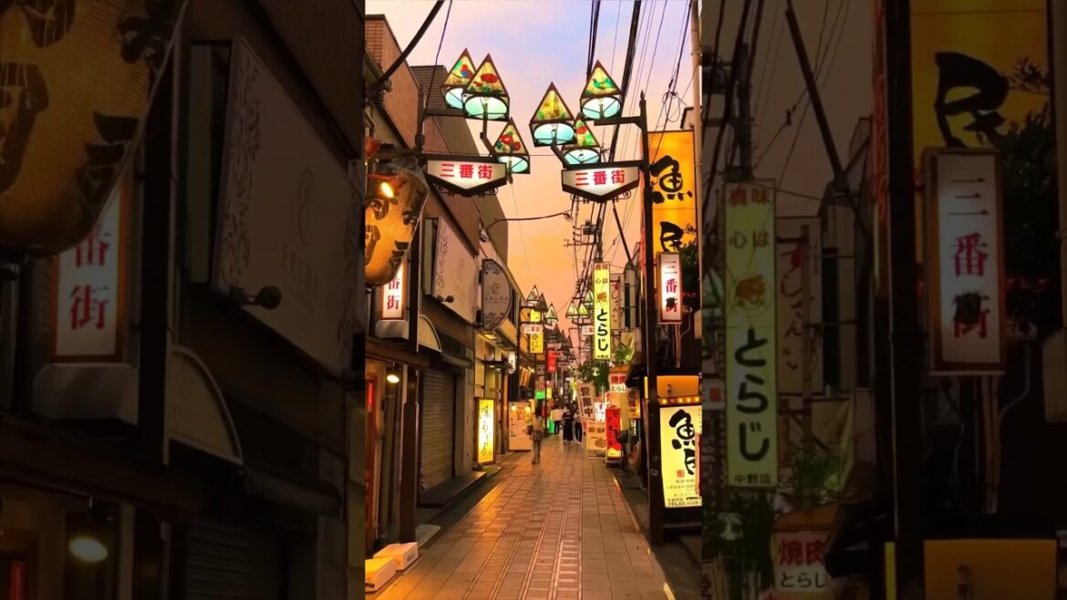 Top 5 Things to SEE in Japan #short