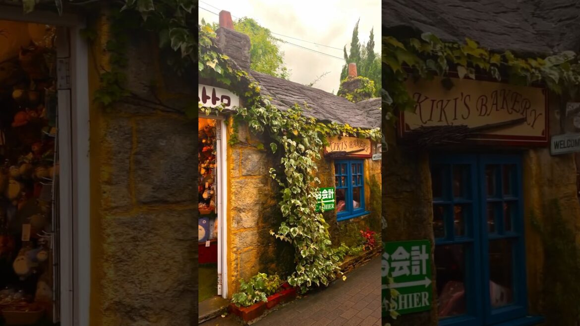 힐링되는 유후인 여행/ A healing trip to Yufuin