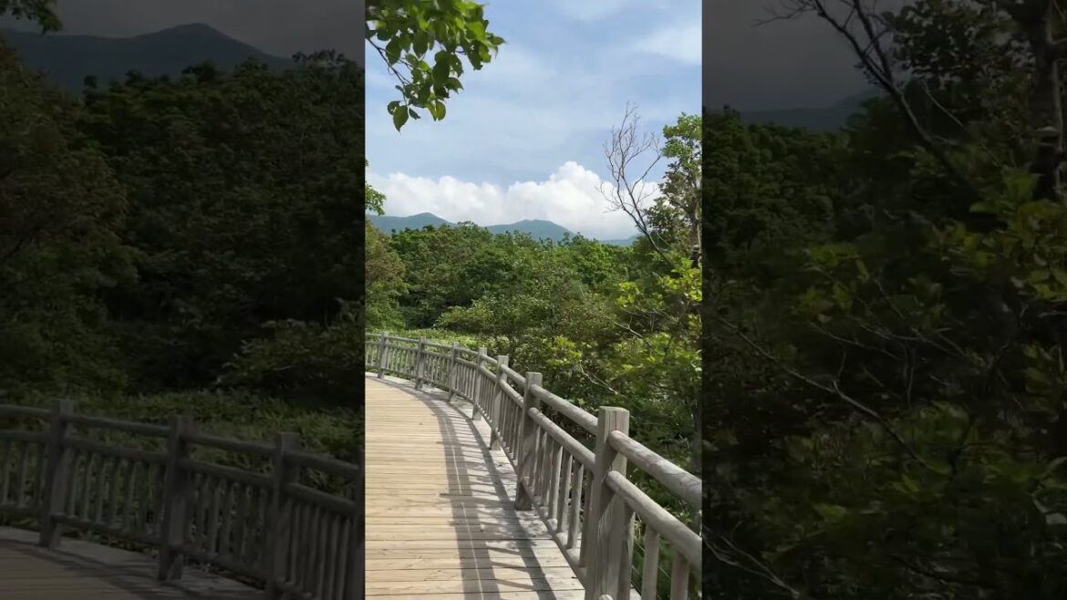 Shiretoko Goko Lake Walk #知床五湖 #shiretoko #japanwalk #walkingtour #hokkaido