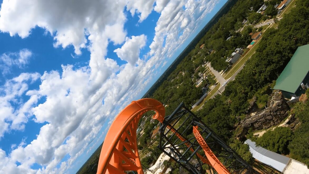 Tigris 4K 60FPS | Busch Gardens Tampa