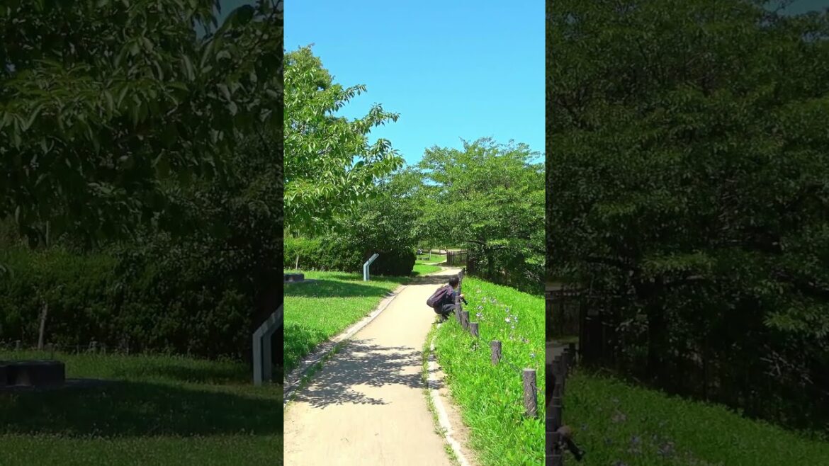 Walk from Tsurumiryokuchi Station - Osaka - 1 #shorts #walking #japantravel