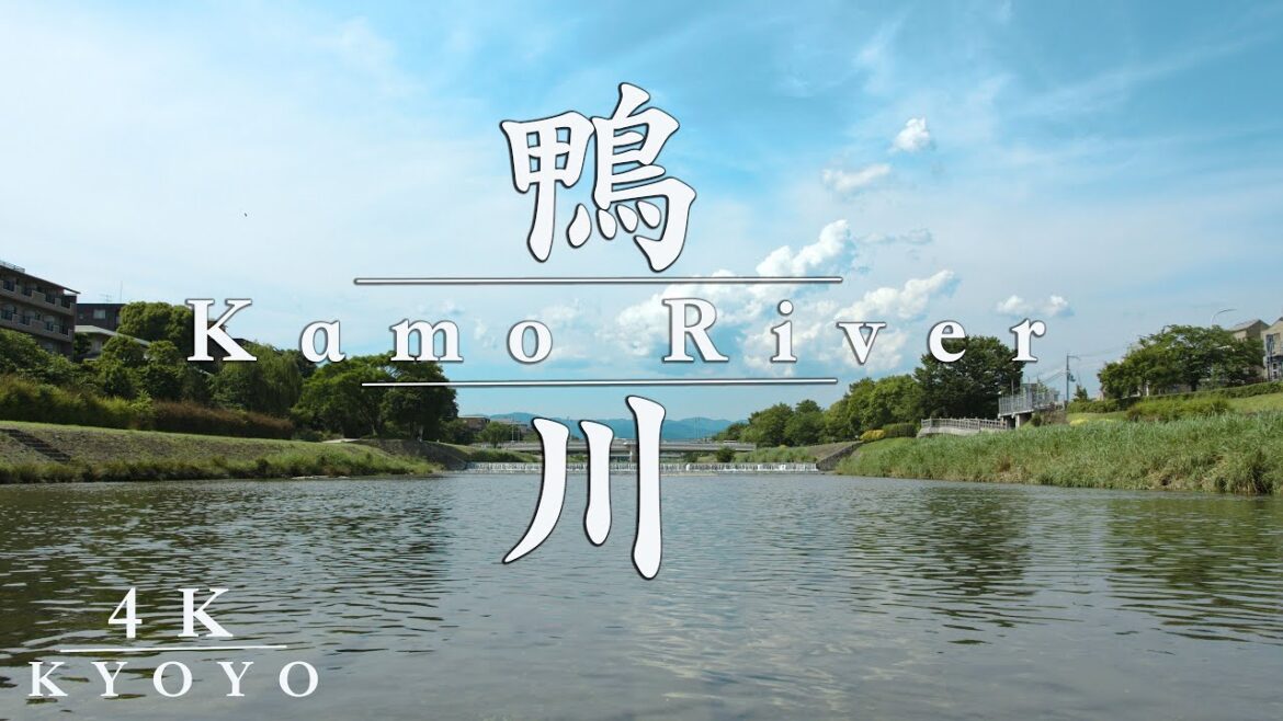 【 THE KYOTO 】　京都鴨川 　４K Travel   [ KYOTO VLOG #94 ]