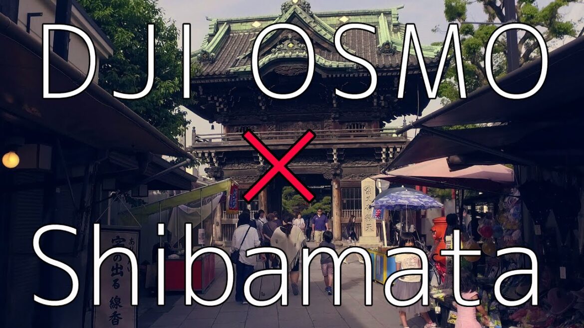 東京ローカル アーカイブ【 柴又 帝釈天 】Shibamata  2016.5.8 Tokyo Archive Local Landscape