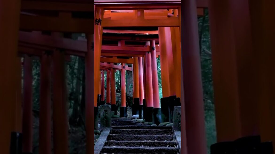 ❤️ Kyoto is the spiritual center of Japan #travel #beach #tour #luxury #relax #couple #happy #shorts ❤️ Kyoto is the spiritual center of Japan #travel #beach #tour #luxury #relax #couple #happy #shorts